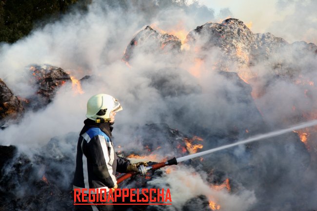 Regio Appelscha